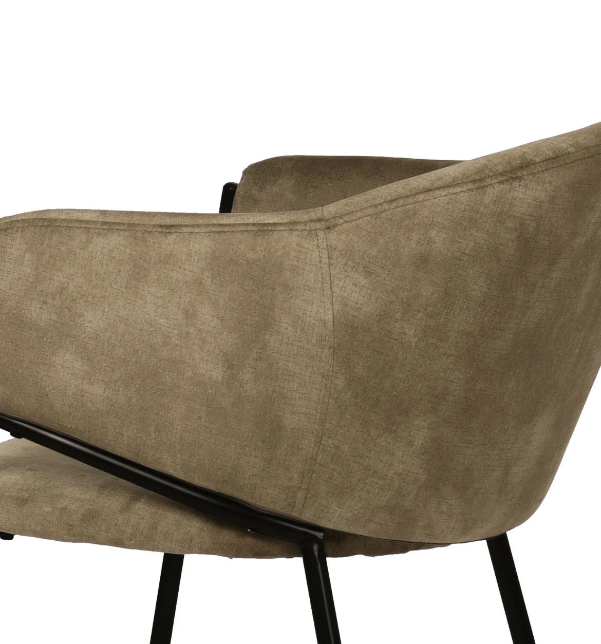 Silla Finch