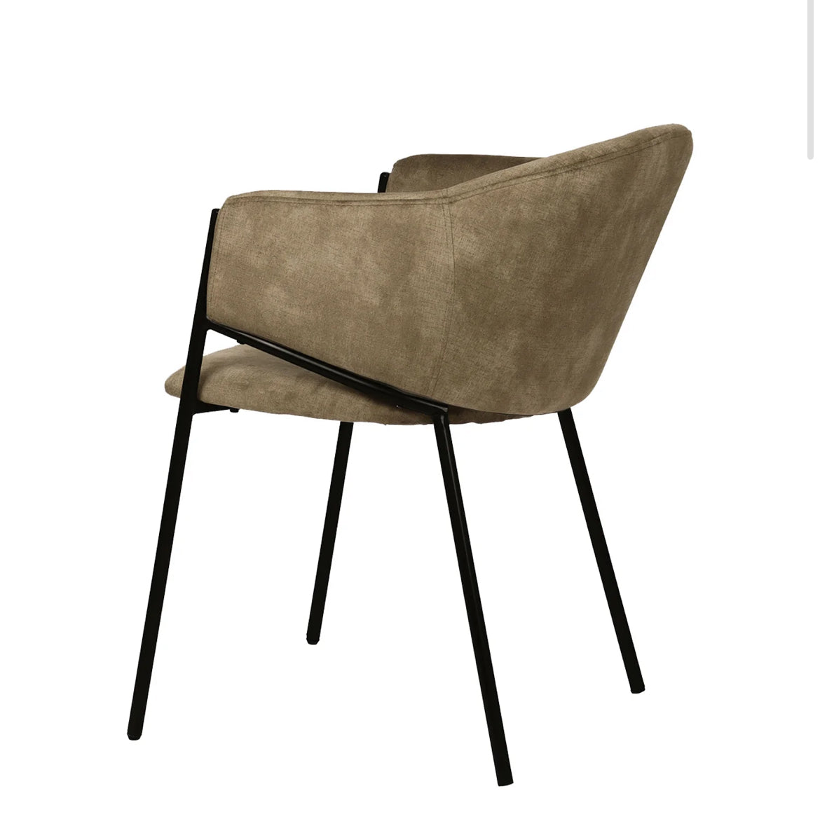 Silla Finch