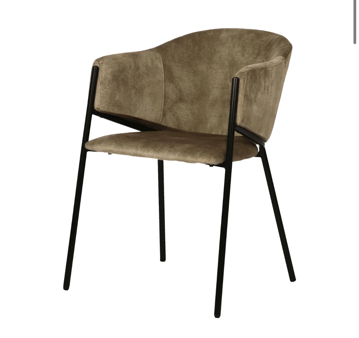 Silla Finch