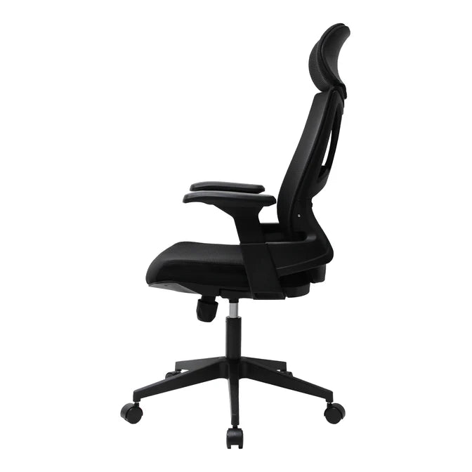 Silla Directiva Ferrara